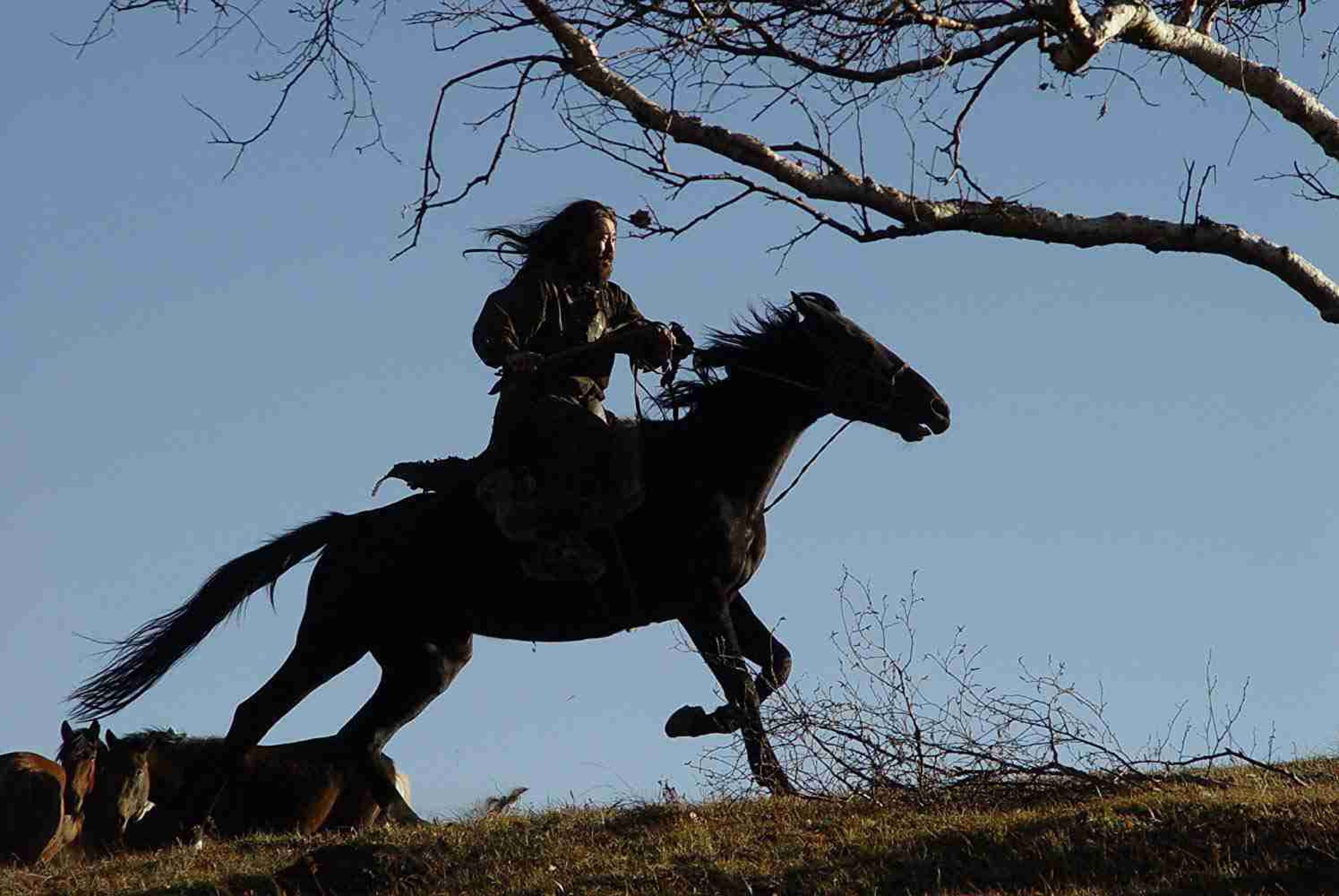 Археологи выяснили, когда в Казахстане одомашнили лошадь