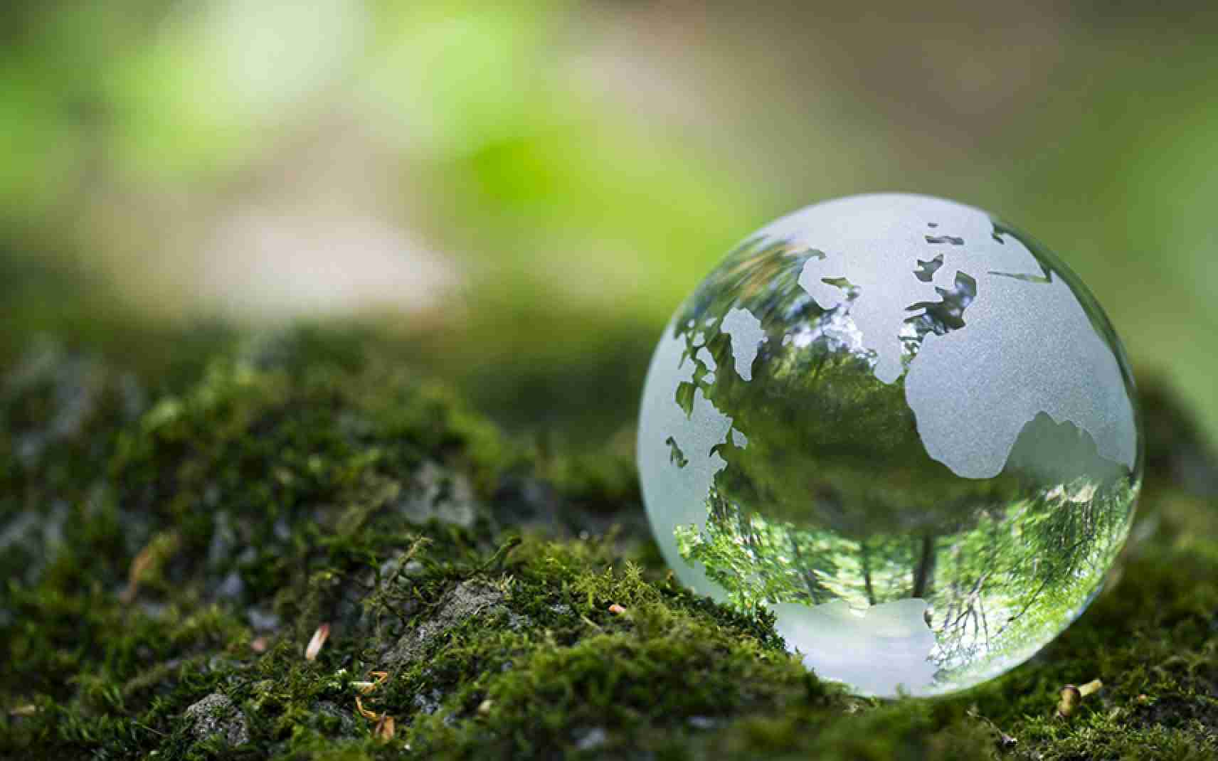 В Казахстане МОН запустит проект экообразования
