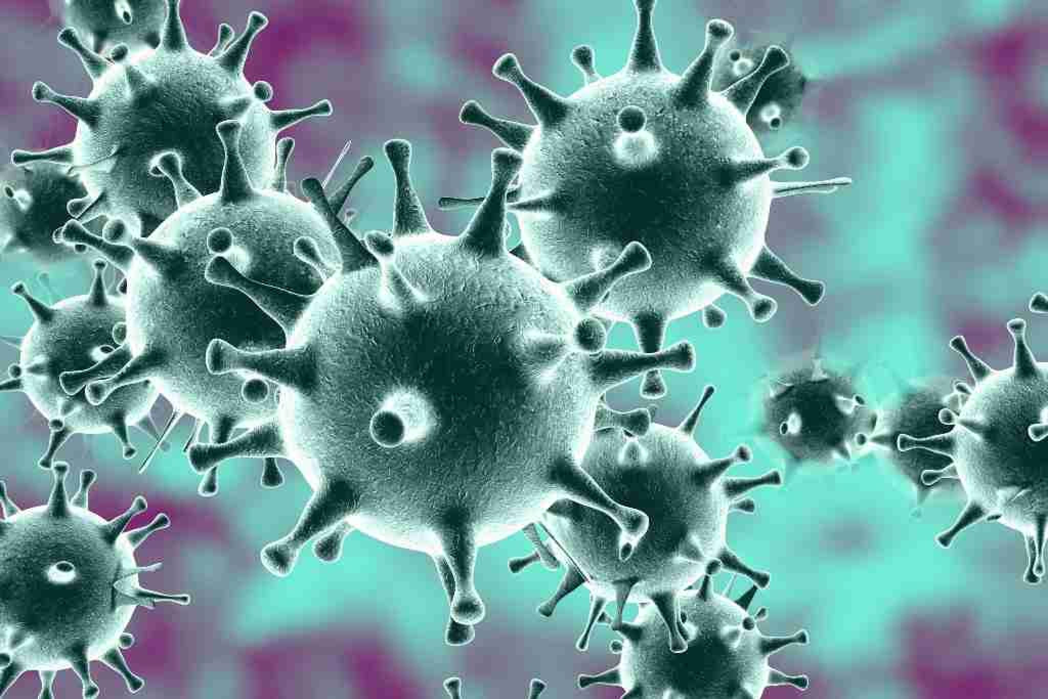 В Казахстане удалось приостановить пандемию коронавируса